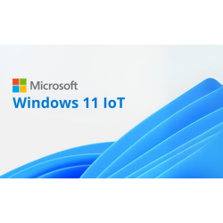 LIC. WINDOWS 11 IOT...